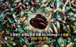 홍합50000