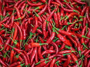 🌶️ [산지특송] 빛깔 고운 A급 생물 빨간 고추 (1kg / 25불) 판매합니다!