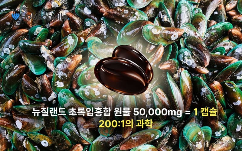 홍합50000